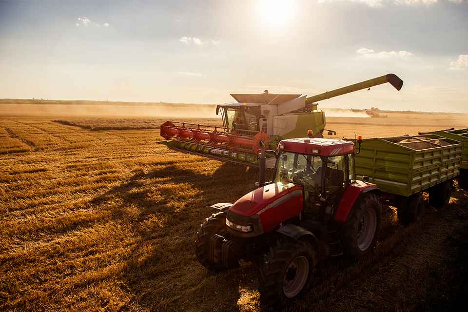 © bernardbodo - stock.adobe.com Foto: Weizenernte